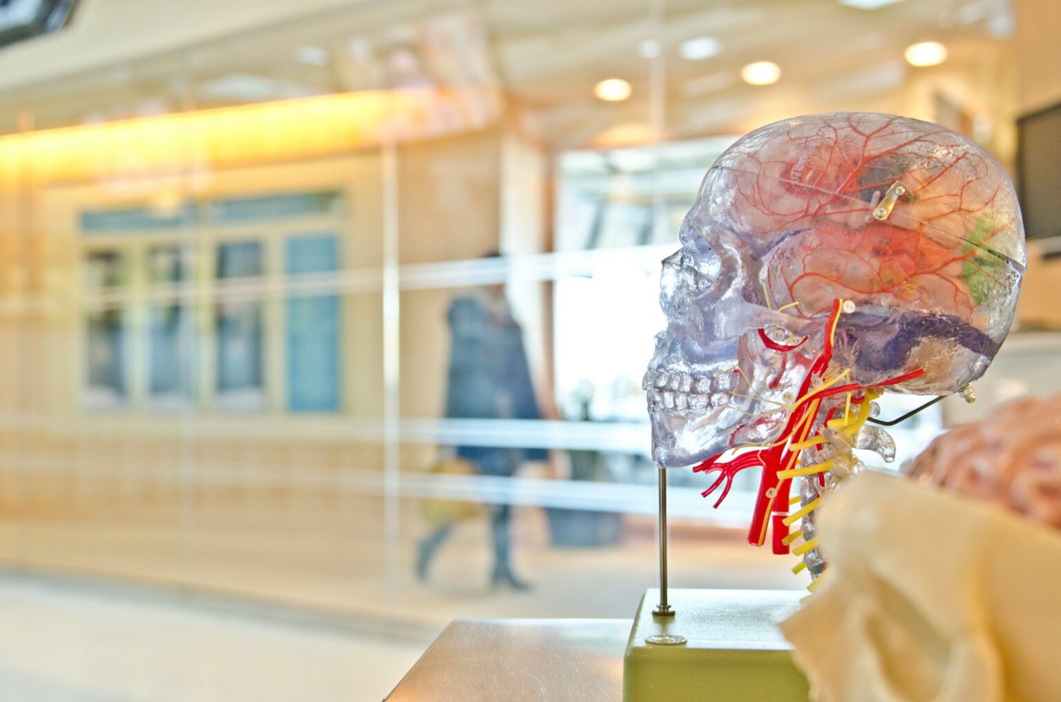 About Nebraska Neurology